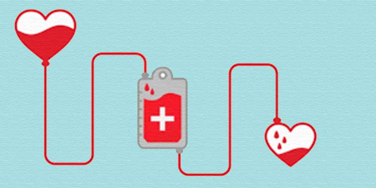 begini-dampak-pandemi-terhadap-aktifitas-donor-darah